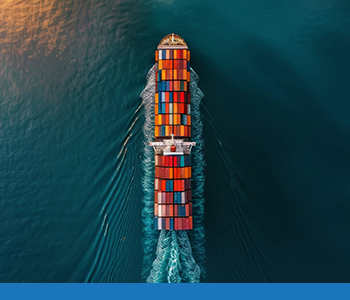 Global Partnerships and Trade